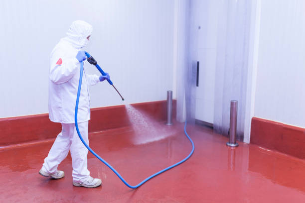 Best Rust Removal  in Oberlin, OH